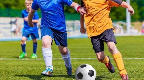 足球吃瓜最新事件爆料,揭秘最新“吃瓜”事件背后的真相